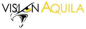 Vision Aquila Productions Logo